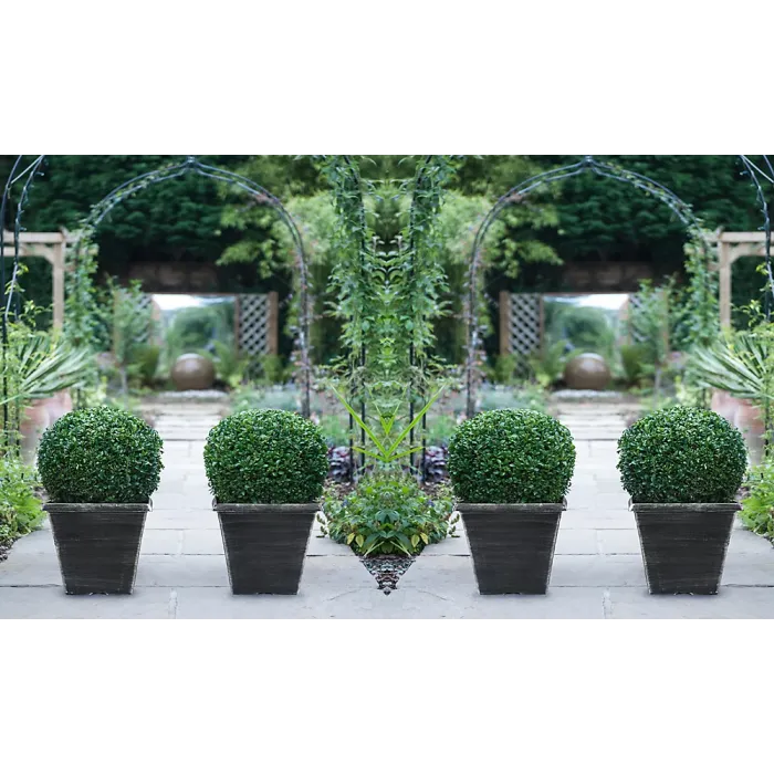 Evergreen Topiary Buxus Ball - Potted Plant x 1 + 1 Patio Planter - Outdoor Plant, Hedging & Patio Containers