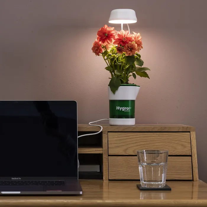 JML - Hygropod Indoor, self-watering pot with LED full-spectrum lights