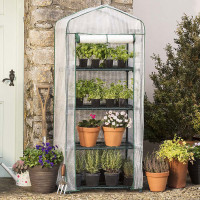 Garden Mini Greenhouse Plants Growhouse, 4 Tier with Roll Up Door & Reinforced PE Cover for Temperature Control (Greenhouse)