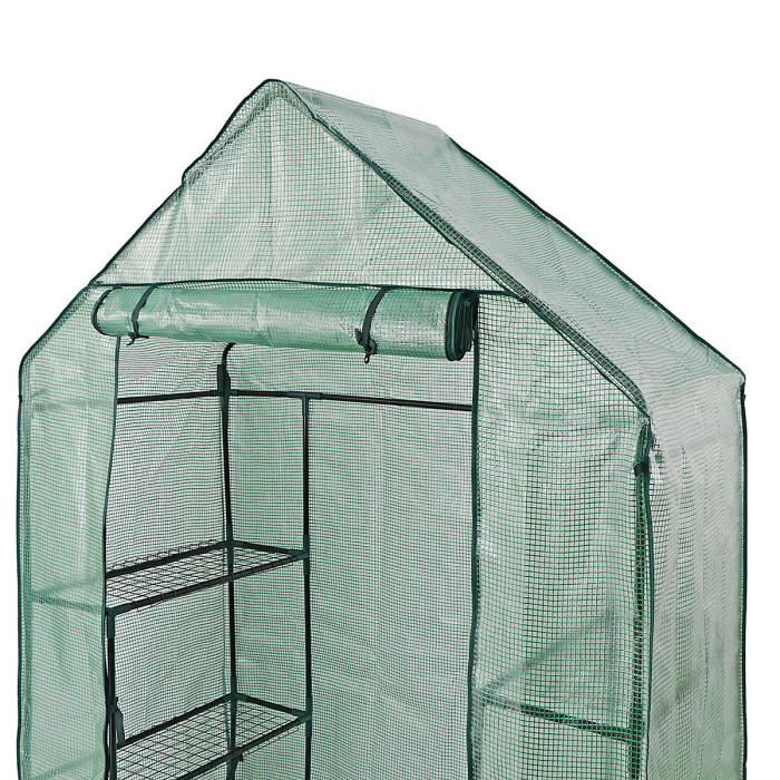 Taylor & Brown Compact WalkIn Greenhouse with 4 Shelves, Weatherproof PE Cover, RollUp Door, Easy NoTool Assembly for Garden