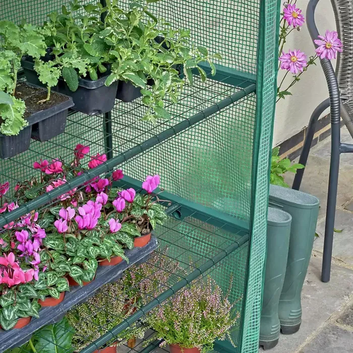 Taylor & Brown 4Tier Portable Greenhouse with Shelves, Weatherproof PE Cover, RollUp Door, Easy Assembly for Garden Use