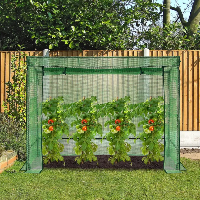 Taylor & Brown Walkin Greenhouse 200x78x150cm, Weatherproof Garden Greenhouse w/ RollUp Doors, 2 Windows, Metal Frame
