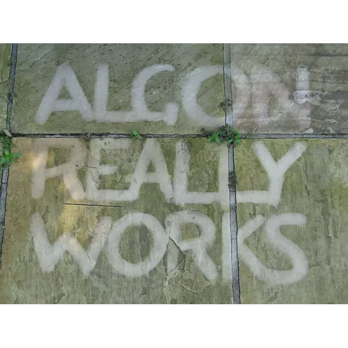 Algon Organic Path Patio Decking Cleaner Concentrated Formula Pet Safe 2.5L