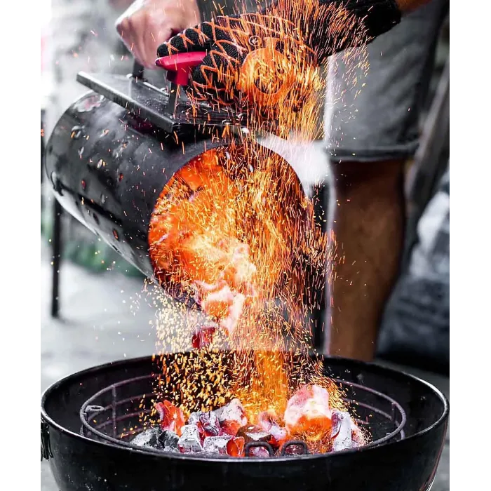 ProQ Charcoal Chimeny Starter, Stainless Steel Fire Starter for Coal & Barbecue Charcoal Briquettes