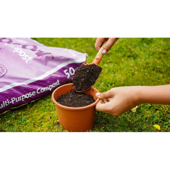 Pro-Grow 1460L Multi-Purpose Compost Bulk Bag: Peat-free soil for planting containers, pots, tubs, general gardening & landscaping