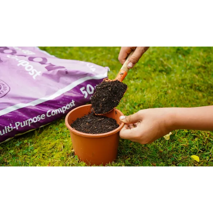 Pro-Grow 1460L Potting & Container Compost Bulk Bag: Peat-free soil for planting pots, tubs, general garden use & landscaping
