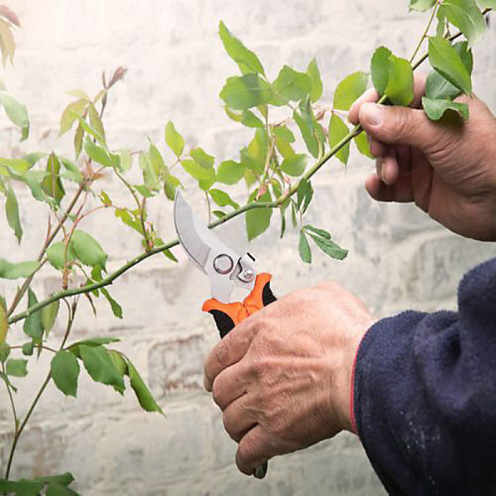 Stainless Steel 3Pcs Garden Pruning Shears Stainless Steel