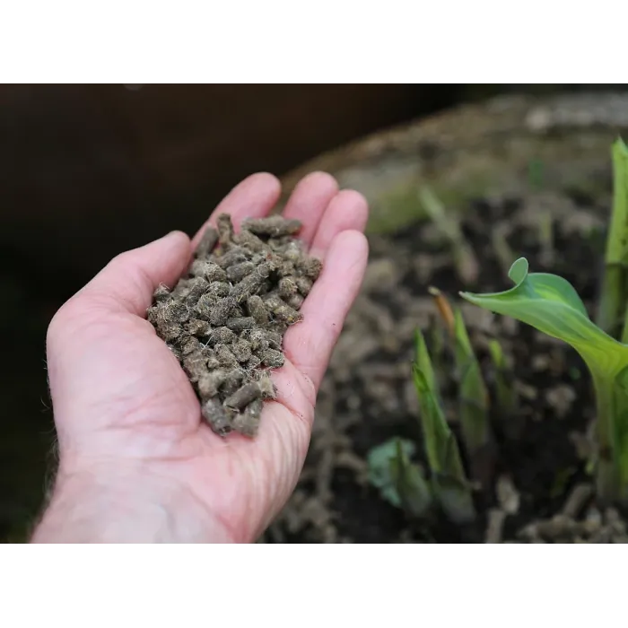 Vitax Slug Gone Wool Pellets Natural Organic Barrier To Protect Borders Pots & Containers From Slugs And Snails Long Lasting 3.5L