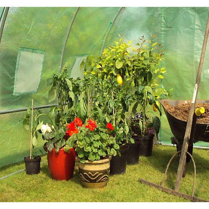 4m x 3m (13' x 10' approx) Pro+ Green Poly Tunnel