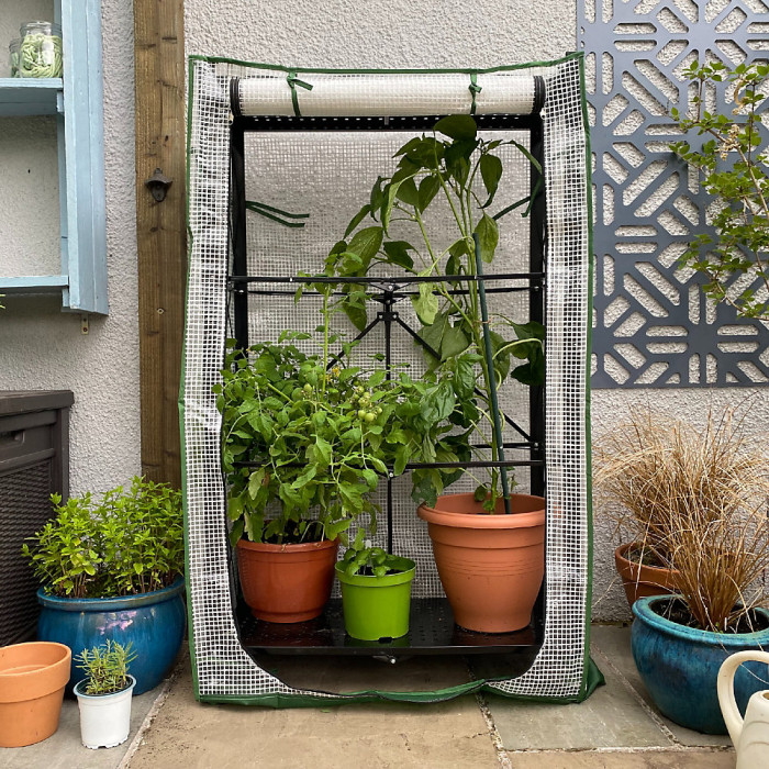 Multiflex Patio & Balcony Greenhouse Grow House & Plant Cover