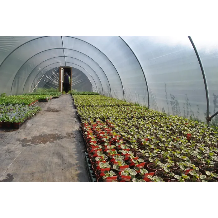 14ft x 24ft Full Curve Conventional Polytunnel Kit, Heavy Duty Professional Greenhouse