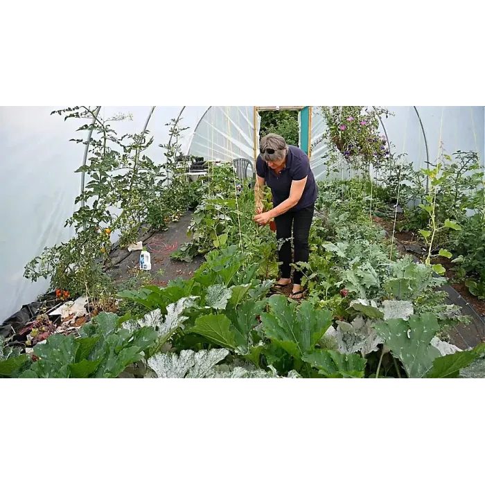 14ft x 18ft Straight Sided Polytunnel Kit, Heavy Duty Professional Greenhouse