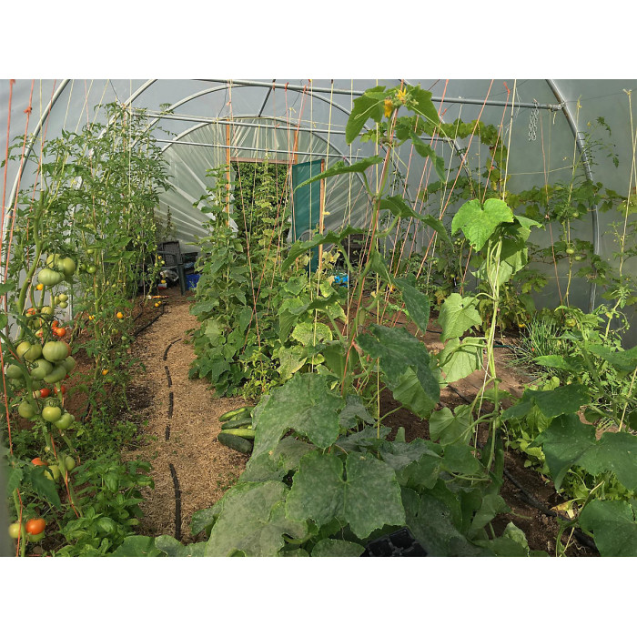 14ft x 18ft Straight Sided Polytunnel Kit, Heavy Duty Professional Greenhouse