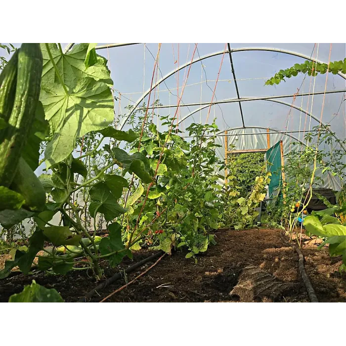 14ft x 54ft Straight Sided Polytunnel Kit, Heavy Duty Professional Greenhouse