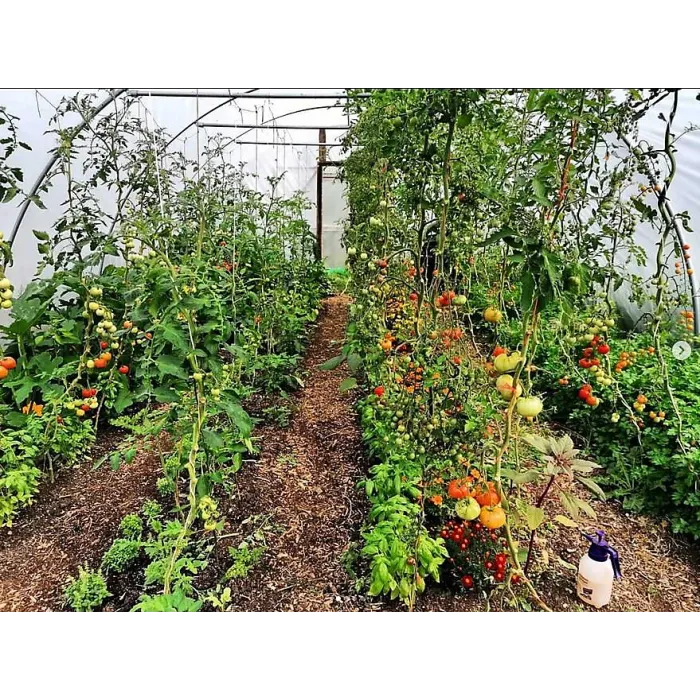 18ft x 30ft Large Commercial Heavy Duty Polytunnel Kit - Professional Greenhouse