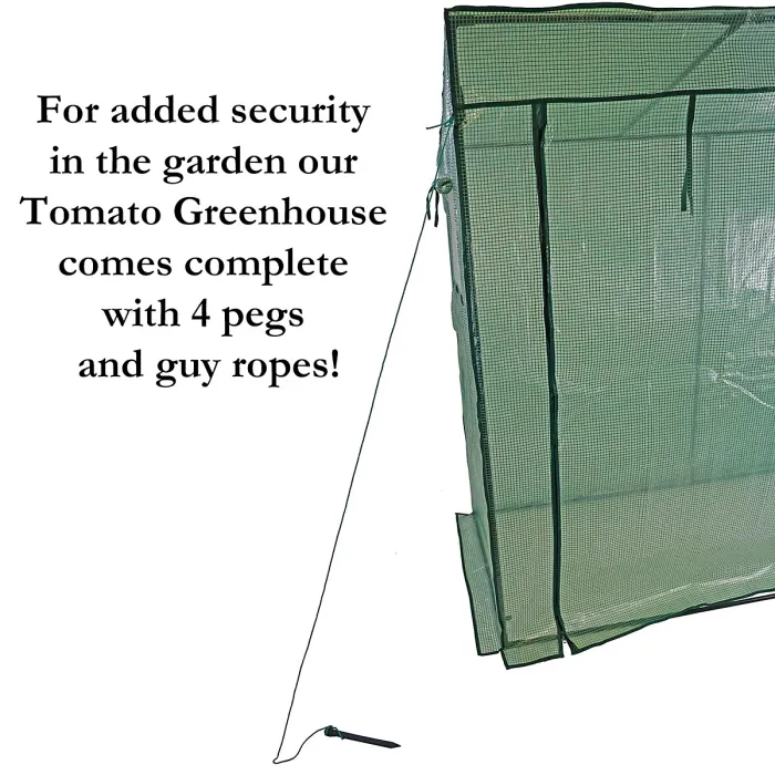 Large Walk-in Greenhouse Tomato Plant Garden Green House Waterproof Slanted Top