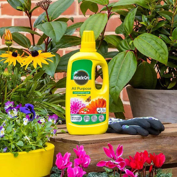 Miracle Gro All Purpose Liquid Plant Food 800mL NPK 7 3 5 for Pots Containers and Borders Feeds Every 1 to 2 Weeks
