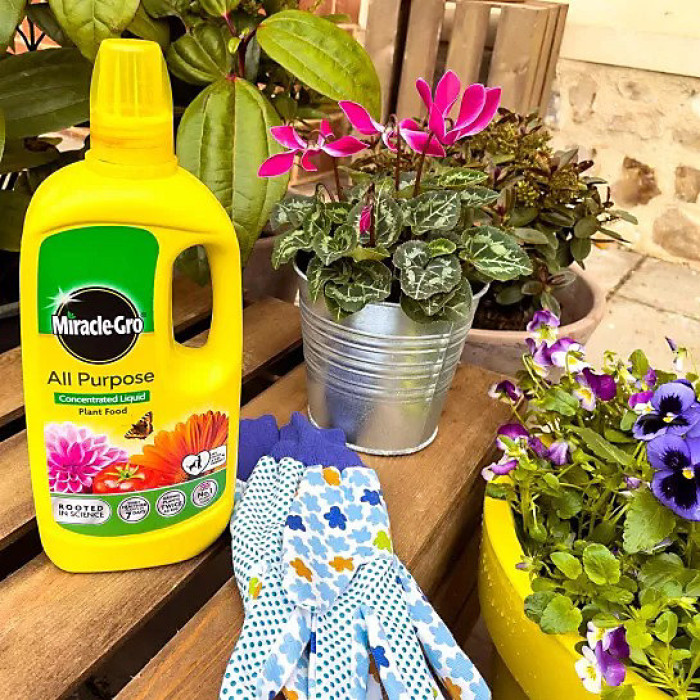 Miracle Gro All Purpose Liquid Plant Food 800mL NPK 7 3 5 for Pots Containers and Borders Feeds Every 1 to 2 Weeks