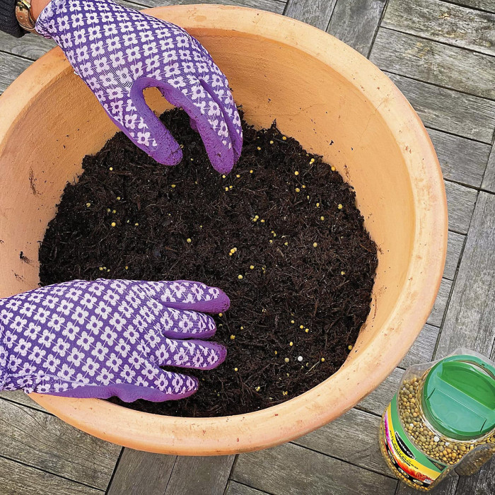 Miracle Gro All Purpose Plant Food 900g Fertiliser for Flowers Fruit Veg Pots and Containers NPK 17 9 11