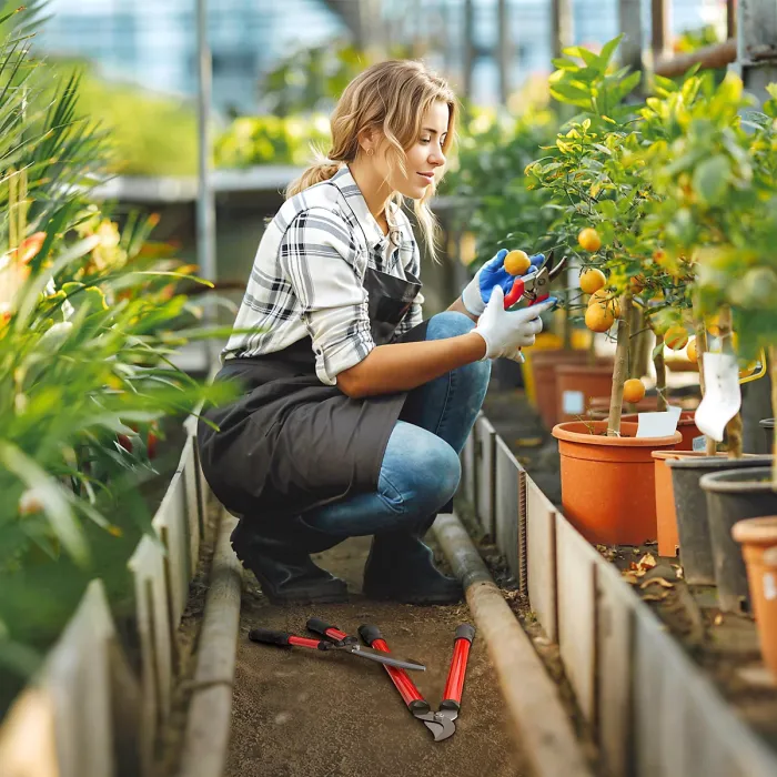 Outsunny 3 PC Garden Shears Set w/ Hedge Shears, Lopper, Garden Secateurs