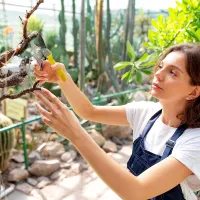 Outsunny 8" Garden Secateurs, Pruning Shears Heavy Duty with Safety Lock