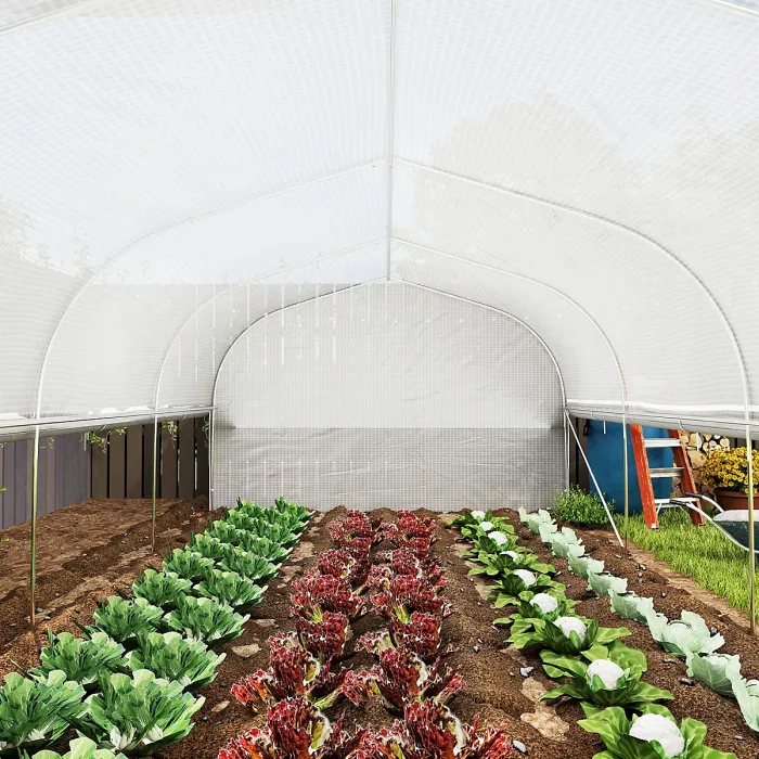 Outsunny Polytunnel Greenhouse W/ Roll-up Sidewalls, Mesh Door, 6 x 3 x 2m