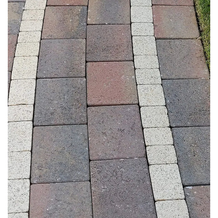 Stonecare4U - Black Spot Remover (5L) - High-Performance Cleaner, Quickly Removes Black Spot Deposits, Green Algae, Lichen & More