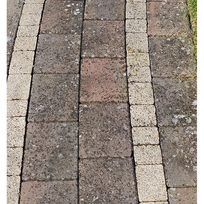 Stonecare4U - Black Spot Remover (25L) - High-Performance Cleaner, Quickly Removes Black Spot Deposits, Green Algae, Lichen & More