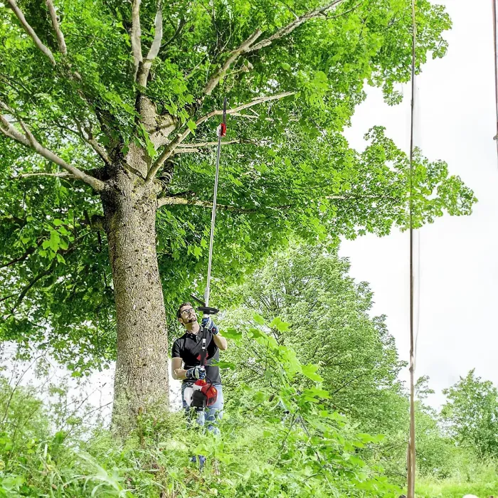 BU-KO 52cc Long Reach Petrol Pruner Saw Attachment and 3X 75cm Extension Pole