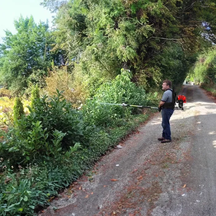 BU-KO 52cc Backpack Long Reach Petrol Strimmers, Brush Cutter, Hedge Trimmer, Pruner, Grass Trimmers with 1 75cm Extension Pole