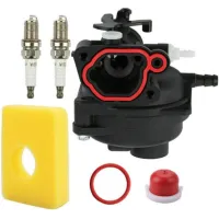 Carburetor, Carburetor Assembly 595656 591979 799583 for Briggs & Stratton 300E 450E Engines