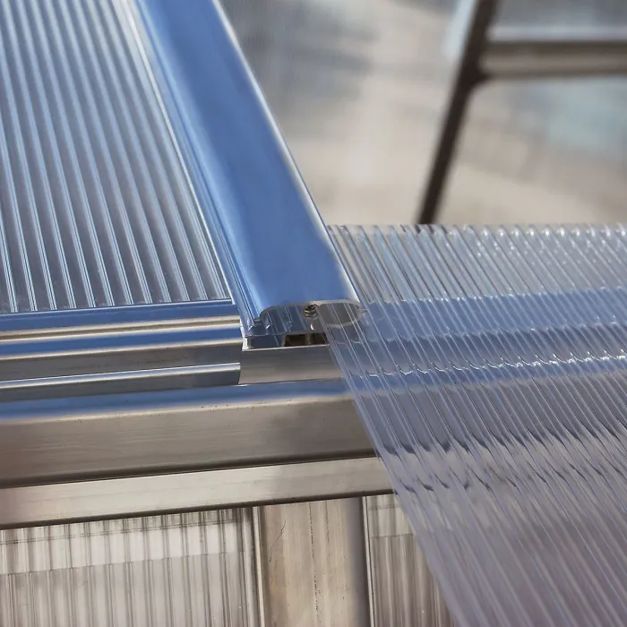 Palram - Canopia Mythos Silver 6x10 Greenhouse