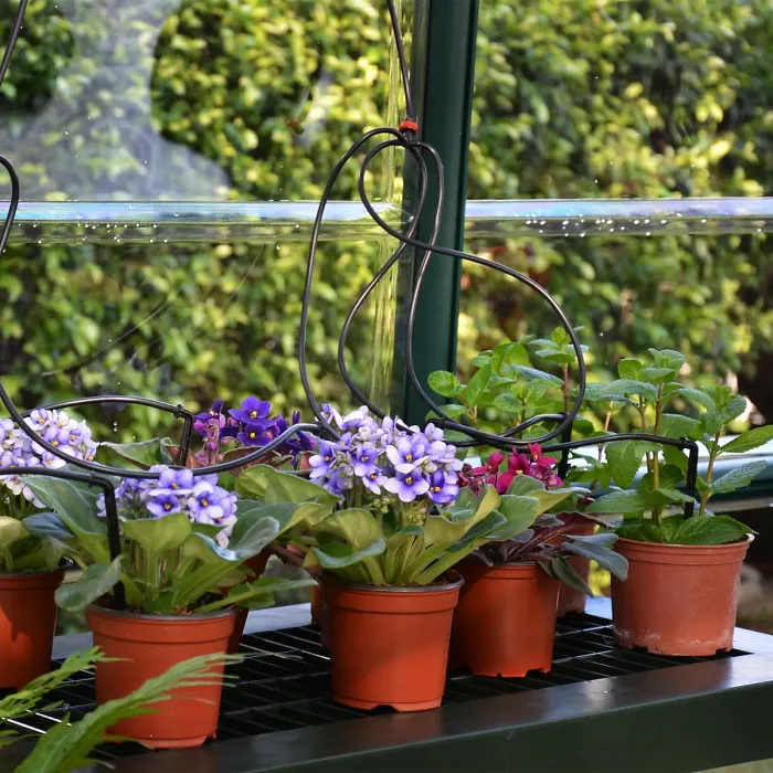 Rion Grand Gardner Green 8x12 Greenhouse