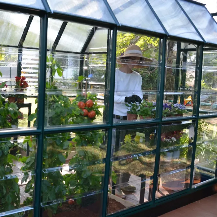 Rion Grand Gardner Green 8x16 Greenhouse