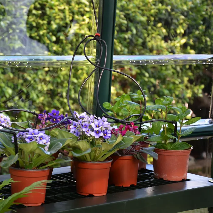 Rion Grand Gardner Green 8x20 Greenhouse