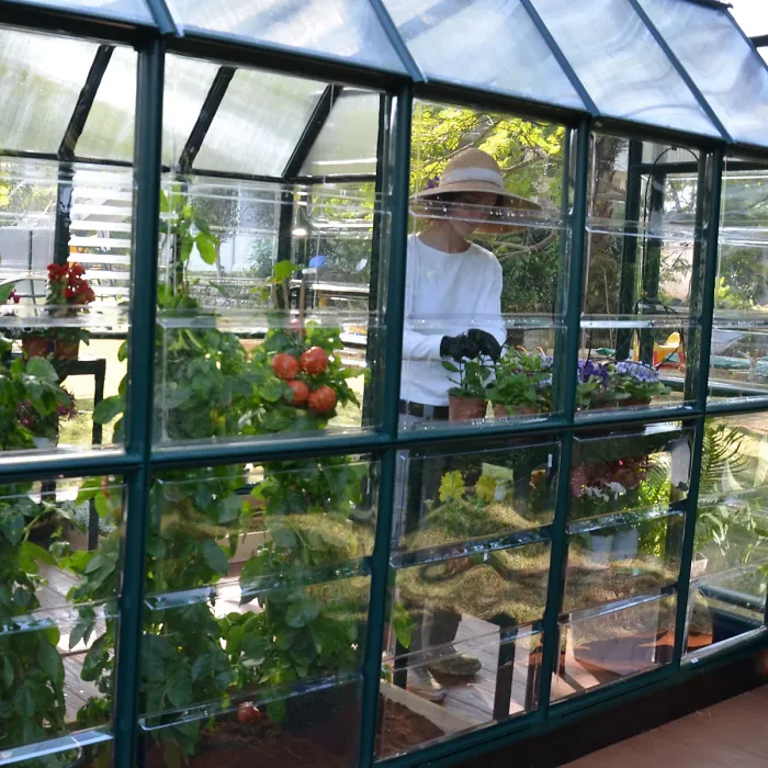 Rion Grand Gardner Green 8x20 Greenhouse