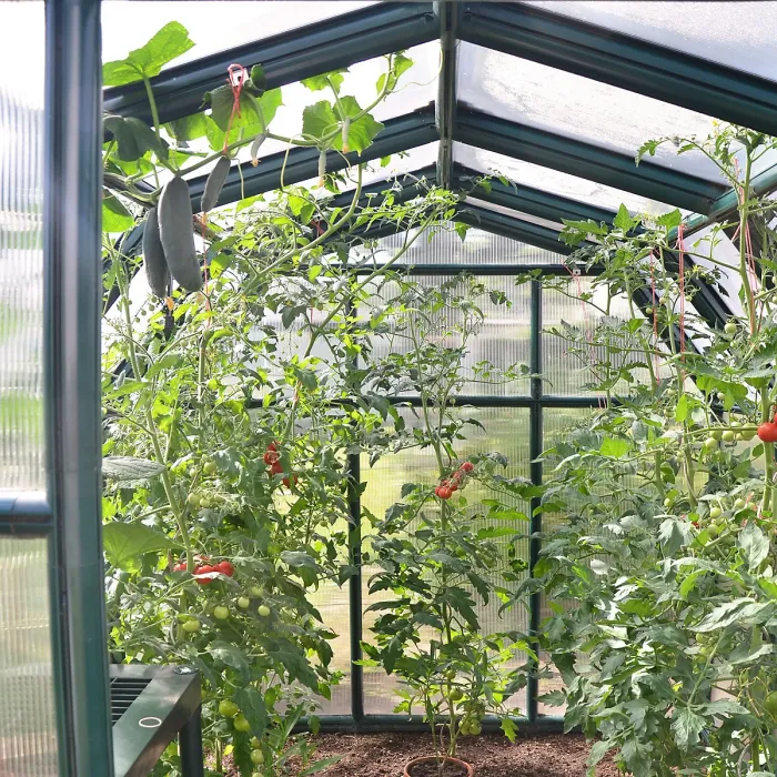 Palram - Canopia Rion Ecogrow Green 6x8 Greenhouse