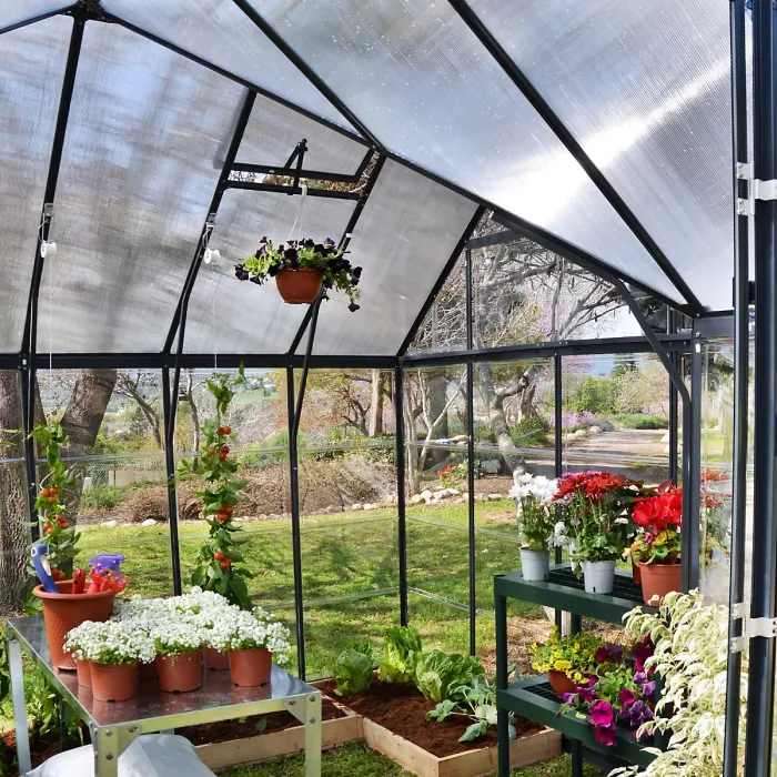 Palram - Canopia Victory Dark grey 12x10 Greenhouse