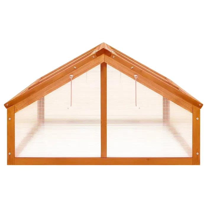 Berkfield Greenhouse Brown 114x80x50 cm Firwood