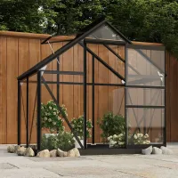 Berkfield Glass Greenhouse Anthracite 155x103x191 cm Aluminium