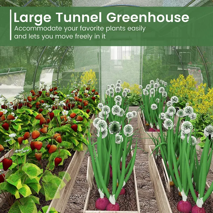 COSTWAY 400 x 300 x 200 cm Outdoor Walk-in Tunnel Greenhouse Roll-up Windows-Green