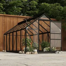 Anthracite Glass Greenhouse 155x298x191 cm Aluminium Plant House