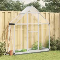 Silver Greenhouse with Base Frame 169x58x202 cm Aluminium