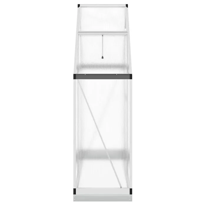 Silver Greenhouse with Base Frame 169x58x202 cm Aluminium