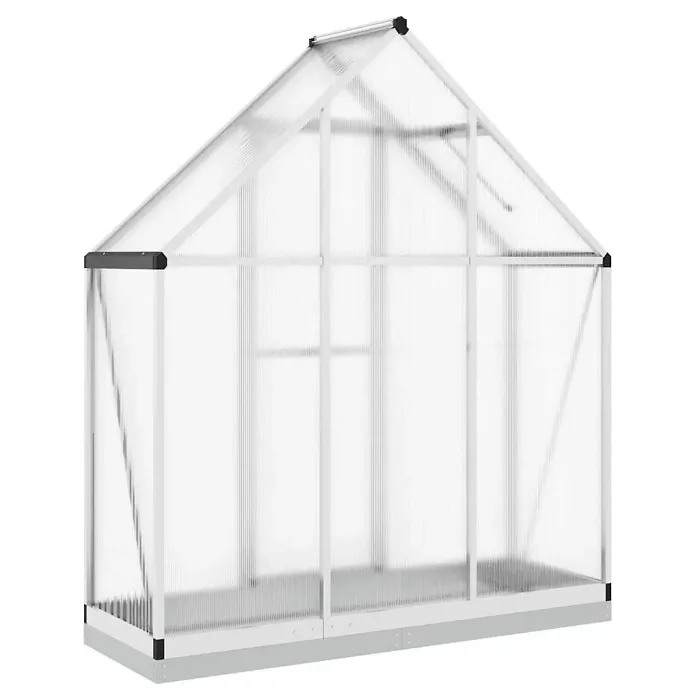 Silver Greenhouse with Base Frame 169x58x202 cm Aluminium