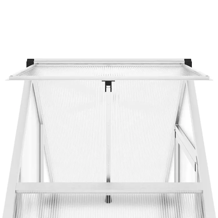 Silver Greenhouse with Base Frame 169x58x202 cm Aluminium