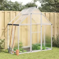 Silver Greenhouse with Base Frame 169x114x195 cm Aluminium