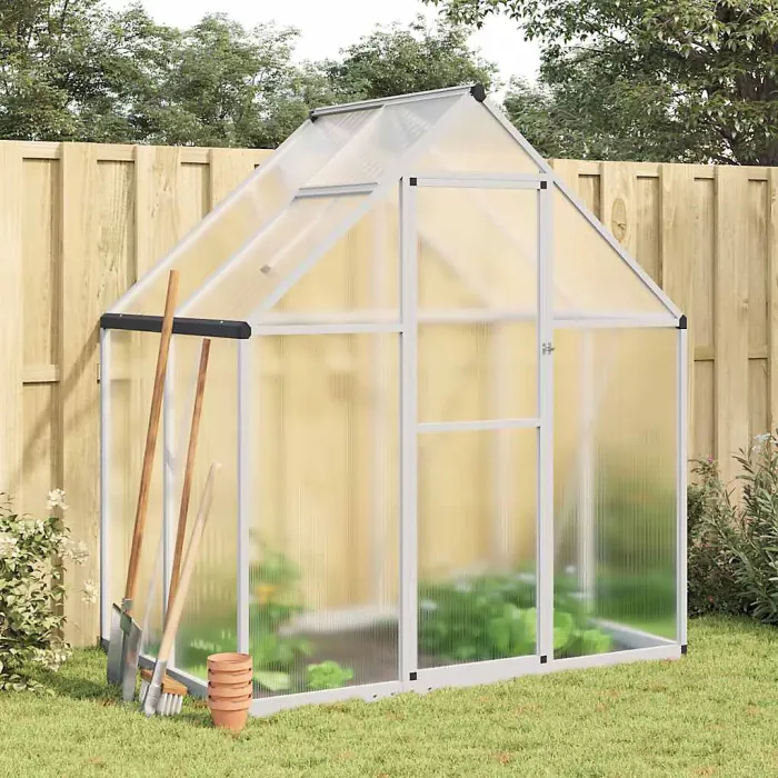 Silver Greenhouse with Base Frame 169x114x195 cm Aluminium