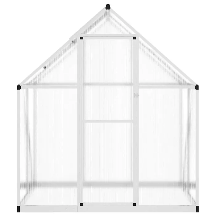 Silver Greenhouse with Base Frame 169x114x195 cm Aluminium
