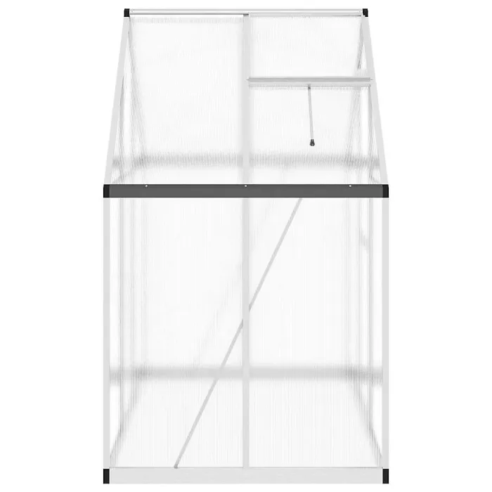 Silver Greenhouse with Base Frame 169x114x195 cm Aluminium